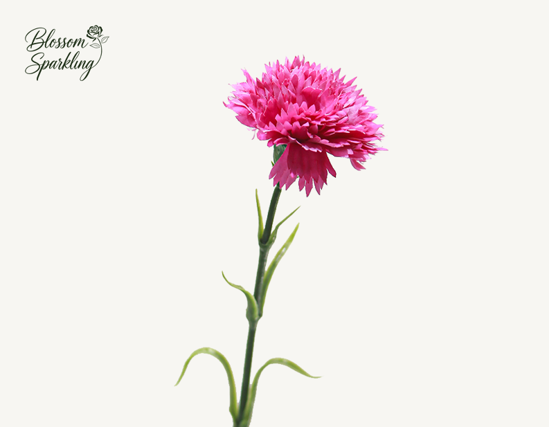 Real Touch Carnations